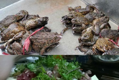 Dễ mang bệnh vì ăn ếch không nguồn gốc